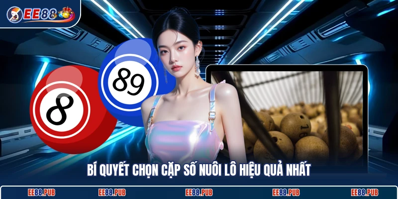 Bí quyết chọn cặp số nuôi lô hiệu quả nhất